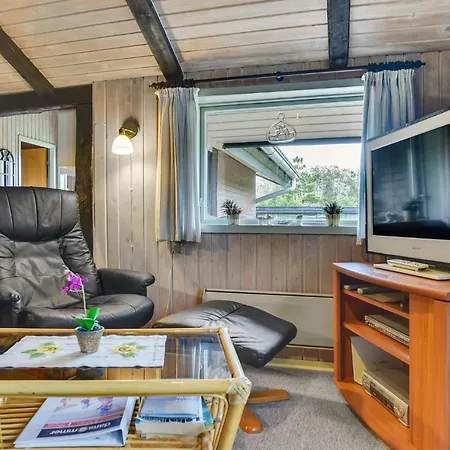 Semesterbostad Blavand With Fireplace 06